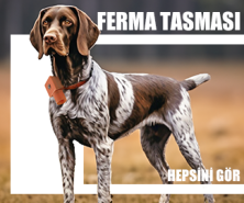 4'LÜ BANNER 3 - Savmarket 