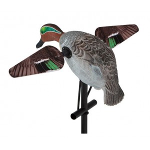 LuckyDucy Motorlu Ördek Mühresi Lucky Teal HD